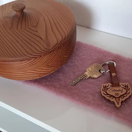 아파트 Steinhof *