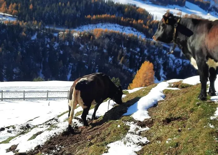 아파트 Steinhof Gries