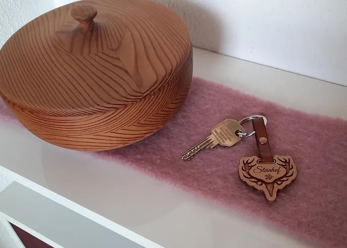 Apartamento Steinhof *