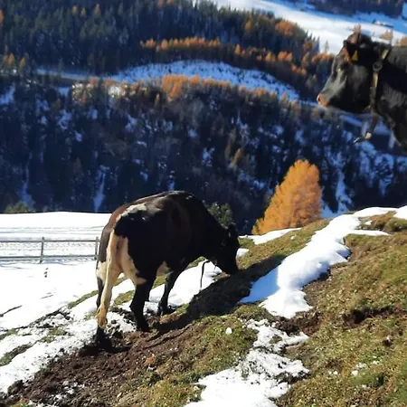 Апартаменты Steinhof Грис-на-Бреннере
