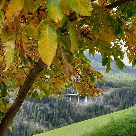 Steinhof Грис-на-Бреннере