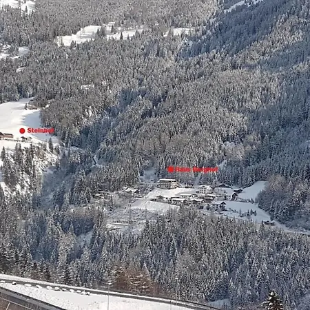 Steinhof Апартаменты