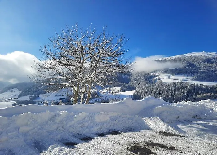 Steinhof * Gries am Brenner